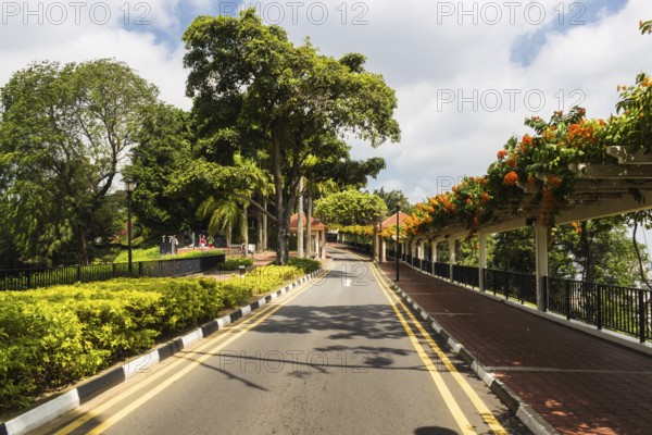 Asphalt road in the park in Singapore