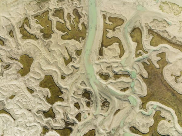 Network of channels and streams at low tide, in the marshland of the Bahía de Cádiz, aerial view,