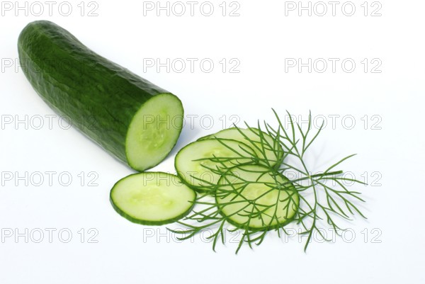 Snake cucumber and Dill (Anethum graveolens) cucumber, cucumber herb