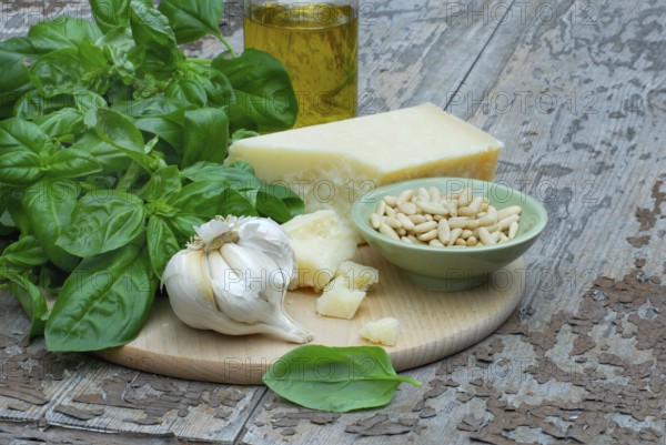 Ingredients for basil pesto, basil, parmesan, olive oil, pine nuts, garlic, parmesan cheese, basil