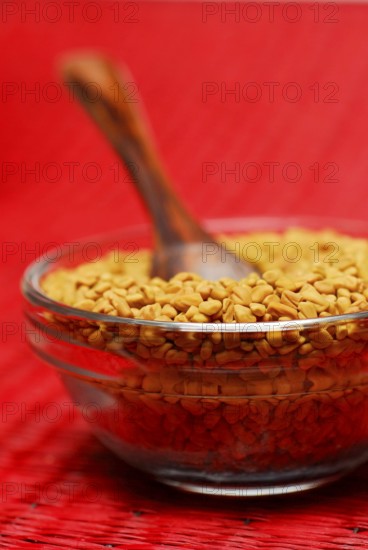 Fenugreek-Seed in dish, seeds, spoon, Greek hay