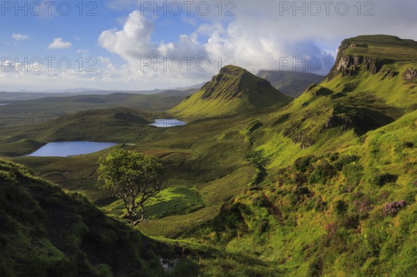 Trotternish, The Quaraig, Isle of Skye, Scotland, United Kingdom, Europe