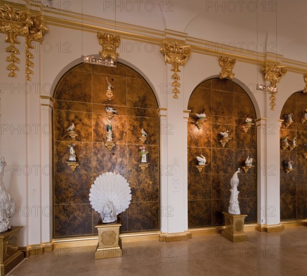 Dresden Porcelain Collection
