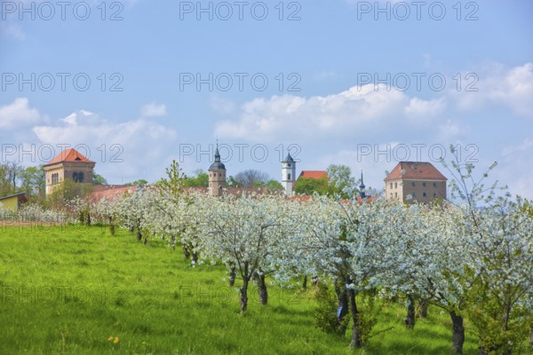 Gamig estate near Dresden