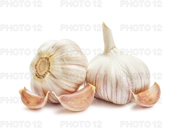 Two garlic bulbs and cloves isolated on white background
