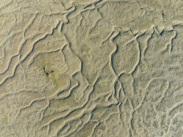 Network of dry channels and streams at low tide, in the marshland of the Bahía de Cádiz, aerial