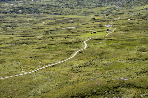 Road through tundra landscape, Fjell, Øystre Slidre, Jotunheimen National Park, Norway, Europe
