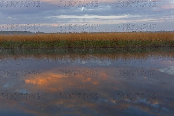Sunset with cloud formation and reflection in the water on the river Trebel, reeds, Peene Valley