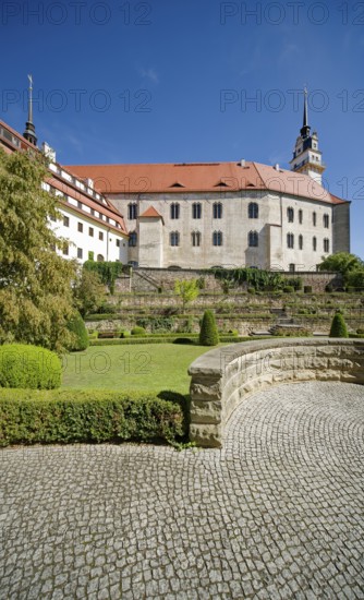 Rose Garden, Hartenfels Castle, Torgau, Saxony, Germany, Europe
