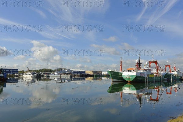 Harbour with fishing boats, Lauwersoog, Lauwersmeer National Park, Holland, Netherlands