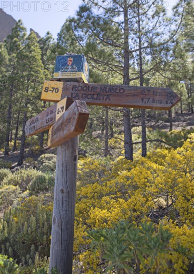 Signpost in the Parque Rural del Nublo, Roque Nublo at the back, Las Palmas Province, Gran Canaria,