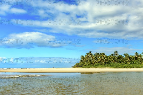 Beautiful Sargi beach with its coconut trees in the city of Serra Grande on the coast of Bahia