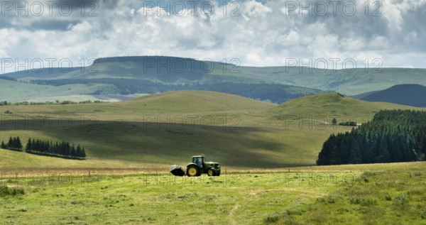 Cezallier plateau. Farmer rowing up hay in the Auvergne volcanoes regional natural park, Puy de