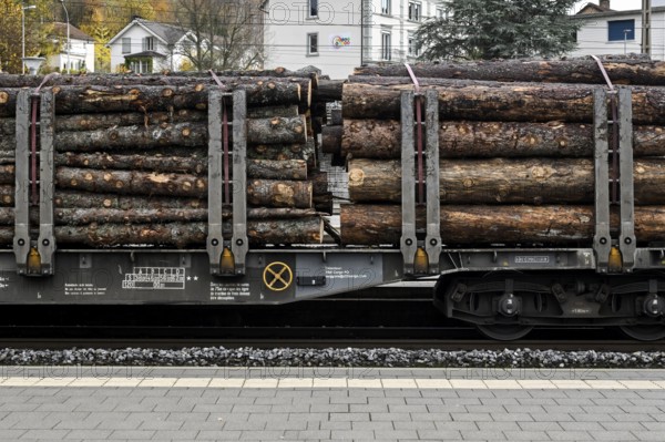 Rail freight transport Round timber SBB Cargo International