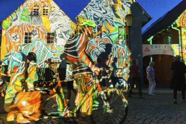 Midsummer Night's Dreams Projections by Claudia Reh, Florian Meyer, violin, Norbert Kegel dances