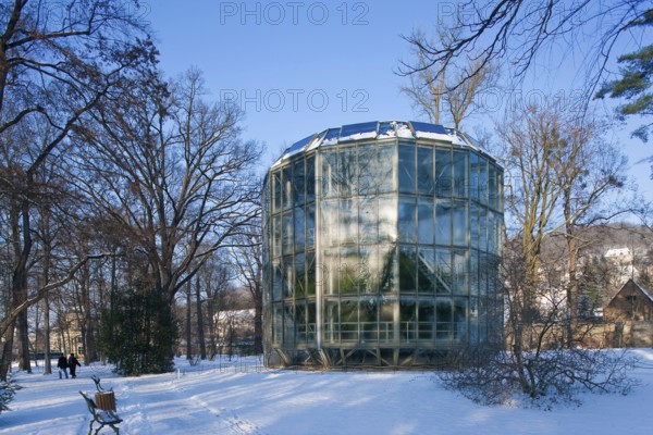 Pillnitz Palace Park in winter, camellia house