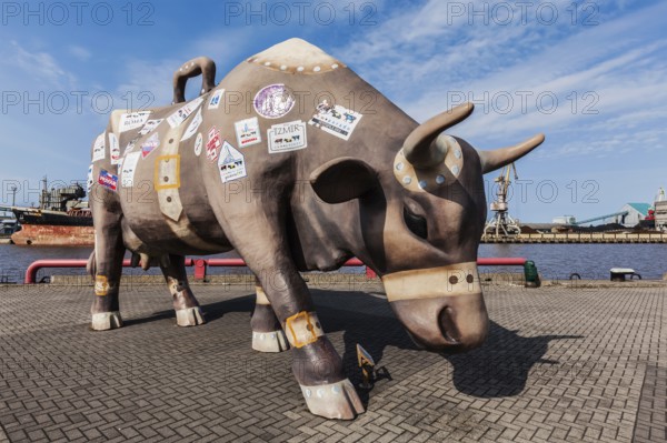 VENTSPILS, LATVIA, MARCH 30, 2014: Traveling Cow's statue. Monument is 4 meters tall and 7 meters