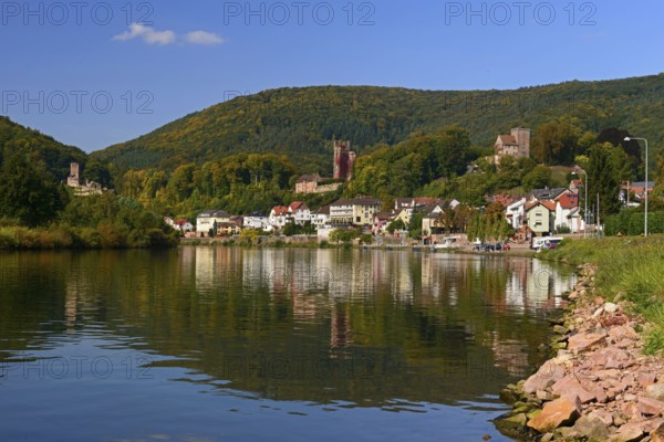 Neckar, Neckarsteinach, Vierburgenstadt, Mittelburg, Baden-Württemberg, Germany, Europe