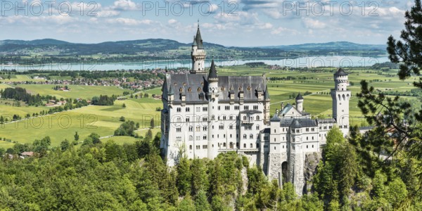 Neuschwanstein Castle near Hohenschwangau, Romantic Road, Ostallgäu, Bavaria, Germany, Europe