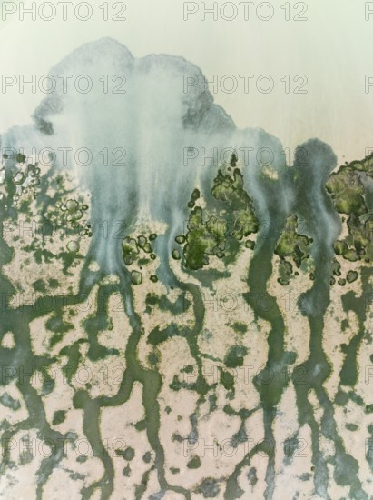 Network of channels and streams at low tide at their confluence with a larger body of water, in the