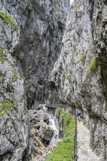 Hiker in a gorge, Hammersbach flows through Höllentalklamm, near Garmisch-Partenkirchen,