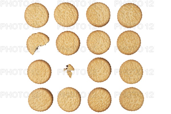 Double biscuits in rows, one bitten into, on white