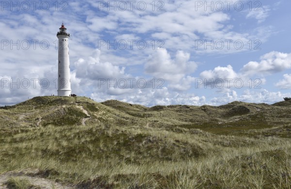 Lyngvig Lighthouse, Lyngvig Fyr in the dunes of Denmark