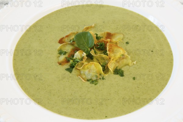 Swabian cuisine, cress soup with crisps, cress, plate with green cream soup, soup plate, garnished