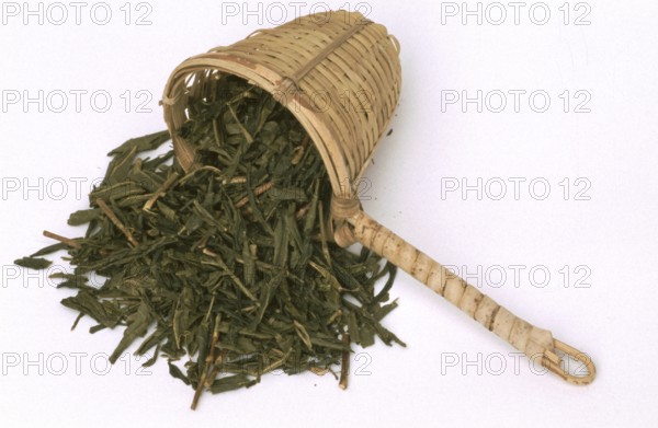 Bamboo tea strainer, green tea, dried leaves of tea plant (Camellia sinensis), unfermented,