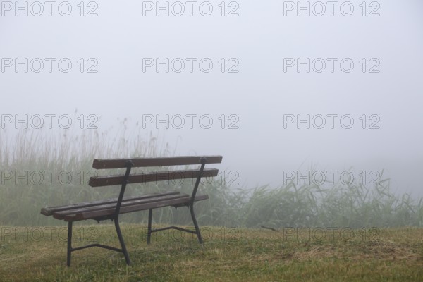 Park bench in the fog at a water hiking rest area on the river Trebel, Naturpark Flusslandschaft