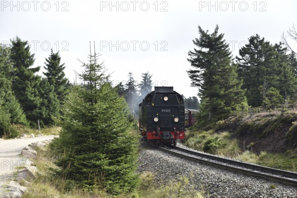 Harz narrow-gauge railway on the way to the Brocken, Saxony-Anhalt, Germany, Europe