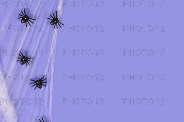 Spider webs and plastic spiders on side of purple Halloween background with copy space