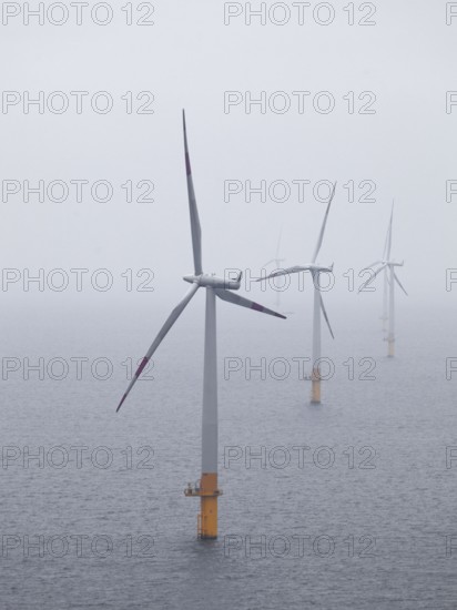 Offshore wind farm Baltic 1, wind turbine, windmill, windmills, wind turbines,