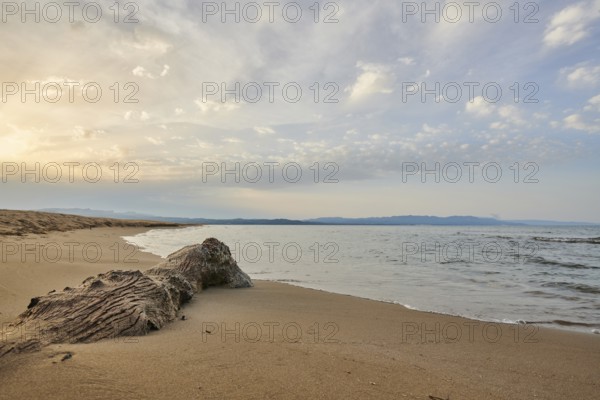 Beach "Platja del Fangar", coast, sea, nature reserve, ebro delta, Catalonia, Spain, Europe