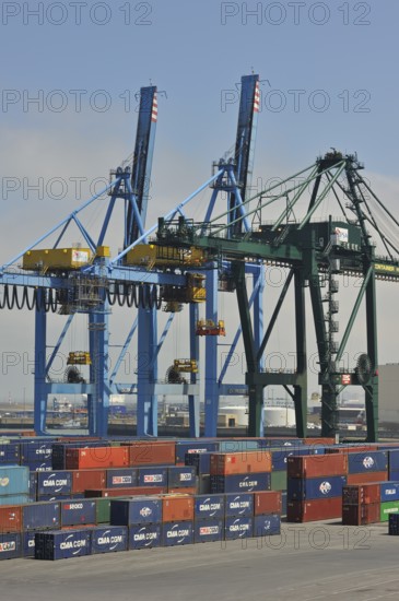 Container terminal cranes in the port of Zeebrugge, Belgium, Europe