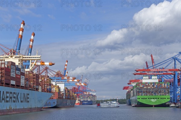 Container ships and excursion boat, paddle steamer Louisiana Star, container terminals Eurogate and