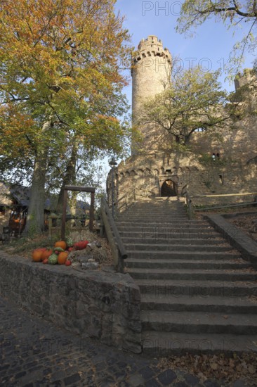 Auerbach Castle Ruin in Autumn near Bensheim, Bergstrasse, Hesse, Germany, Europe