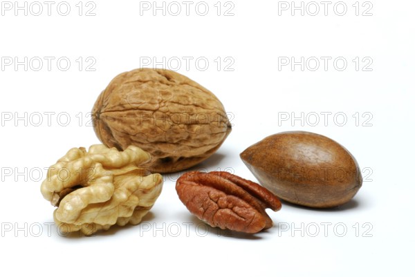 Walnut (Juglans regia) and pecan (Carya illinoiensis) , pecan nut
