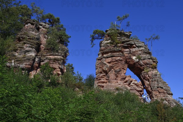 Hiker at the Schillerfelsen, red sandstone rocks on the Dahner Felsenpfad, Dahn, Südwestpfalz