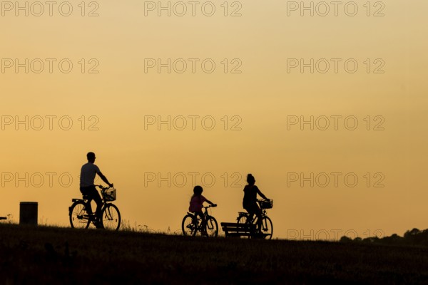 Silhouette of cyclists on the Elbe cycle path in the evening