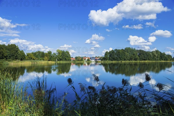 Peitz, Picnjo in Lower Sorbian, is a town in the district of Spree-Neiße in Brandenburg. It is the