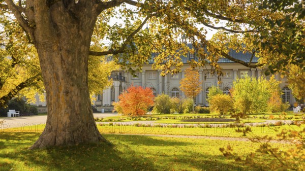 The former summer residence of the Saxon royal family is the largest chinoise palace complex in