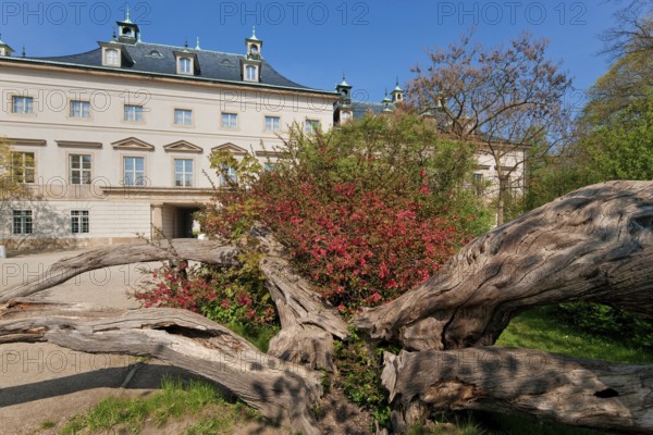 (© Sylvio Dittrich) (01772156417) Pillnitz used to be a suburb (incorporated in 1950) and is now a