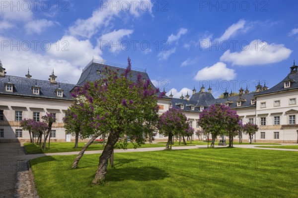 Pillnitz Palace Park in spring, Lilac Courtyard