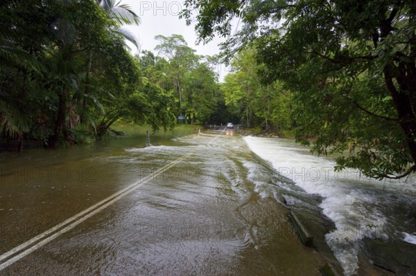 Flooded road, climate, river, rainforest, jungle, rain, flood, flooding in Daintree National Park,