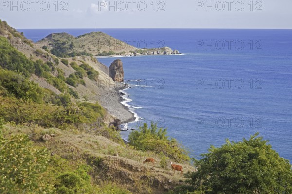 The mountain range Sierra Maestra reaching the Caribbean Sea, Cuba, Central America