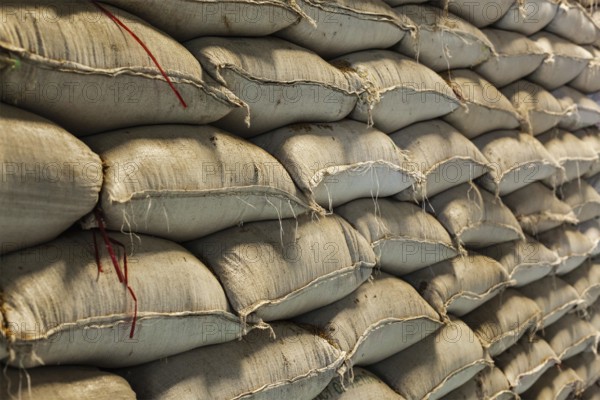 Rice grain sacks in warehouse