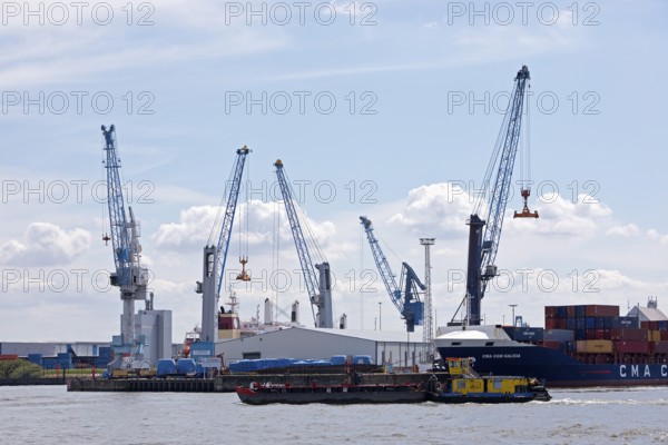 Cranes in Steinwerder Harbour at the South-West Terminal, Norderelbe, Hamburg, Germany, Europe
