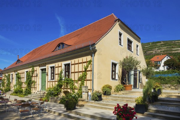 Hoflößnitz st a former Electoral Saxon, now municipal winery on the Saxon Wine Route In the 21st