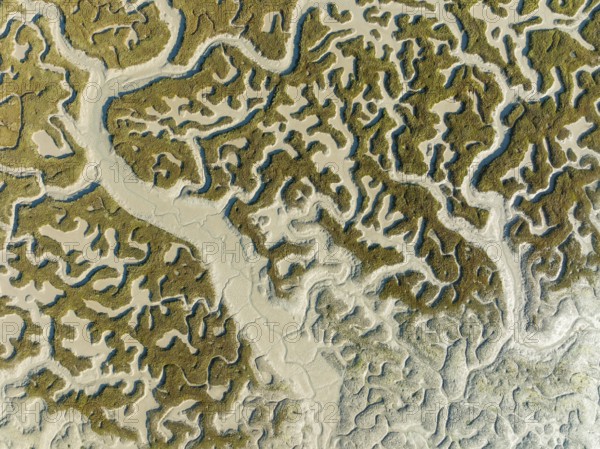 Network of dry channels and streams at low tide, in the marshland of the Bahía de Cádiz, aerial